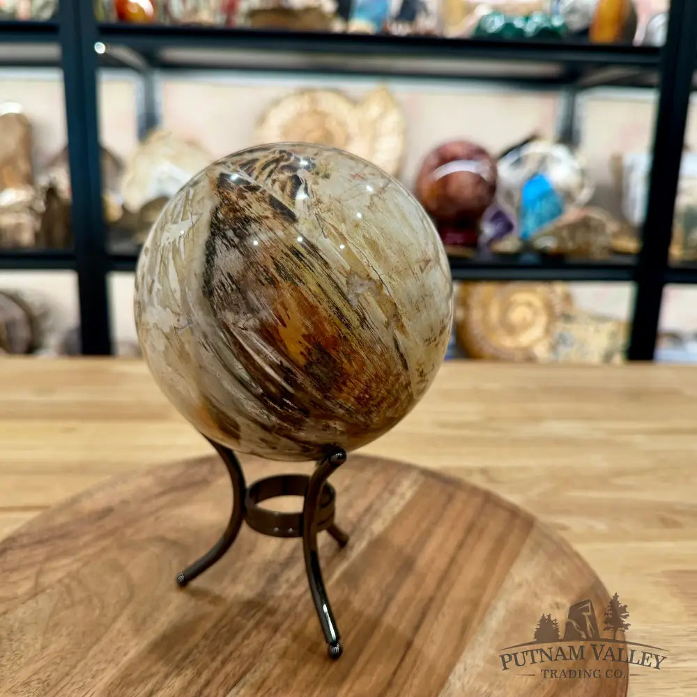 Reserve Madagascar Petrified Wood Sphere 4.82’’ - Sphere