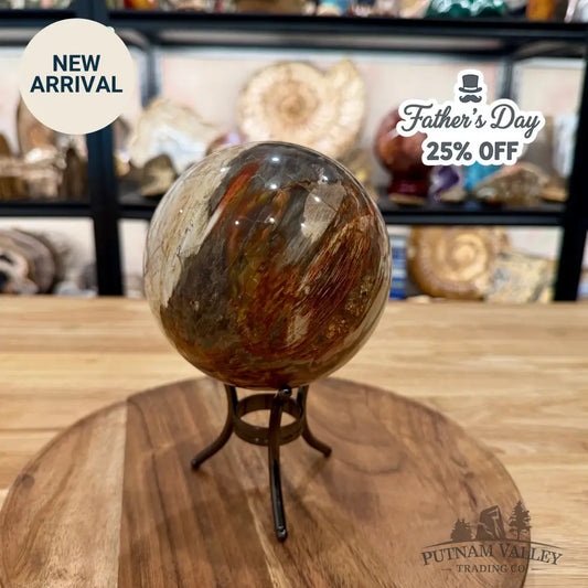 Reserve Madagascar Petrified Wood Sphere 4.82’’ - Sphere