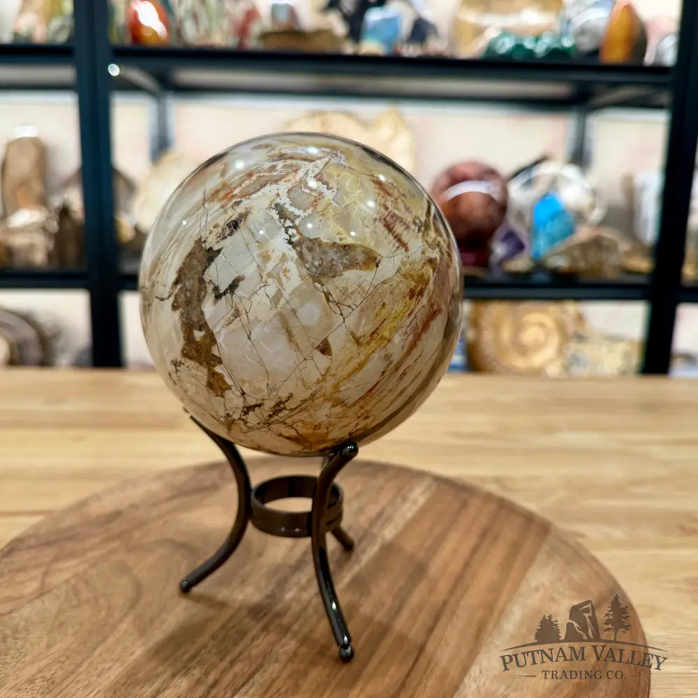 Reserve Madagascar Petrified Wood Sphere 4.82’’ - Sphere