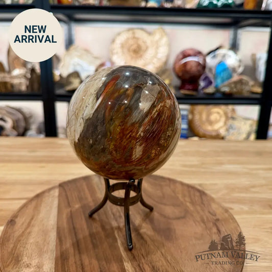 Reserve Madagascar Petrified Wood Sphere 4.82’’ - Sphere