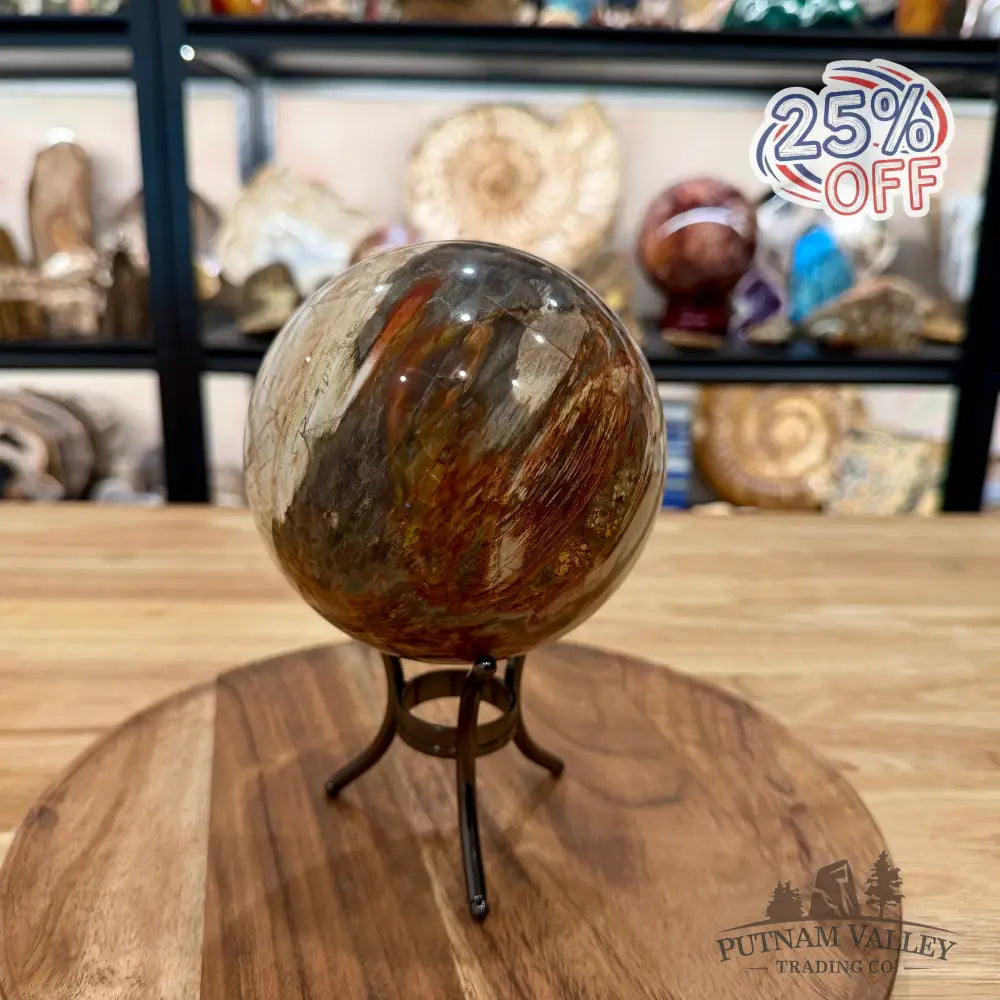 Reserve Madagascar Petrified Wood Sphere 4.82’’ - Sphere