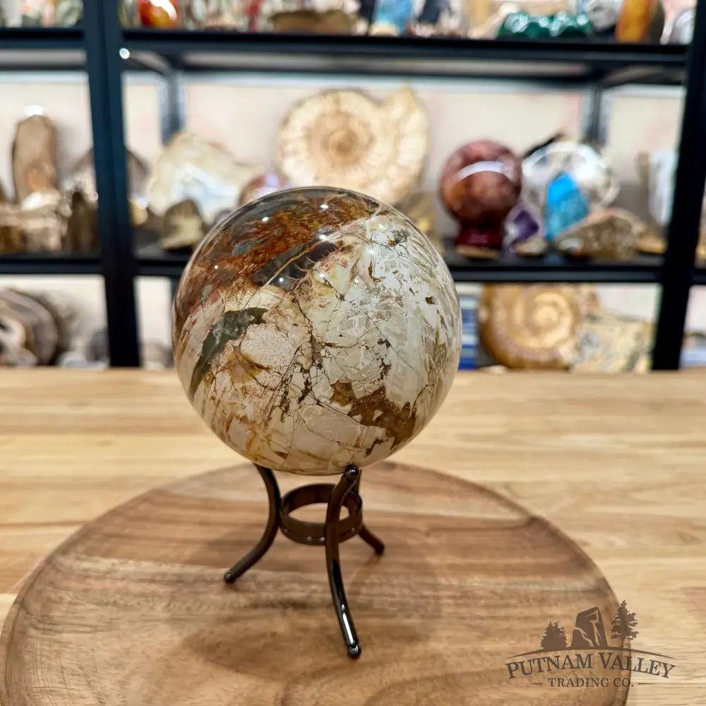 Reserve Madagascar Petrified Wood Sphere 4.82’’ - Sphere