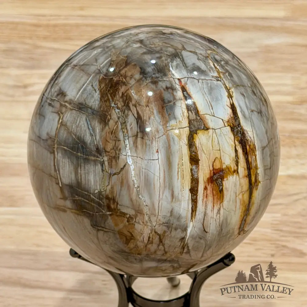 Reserve Madagascar Petrified Wood Sphere 4.87’’ - Sphere
