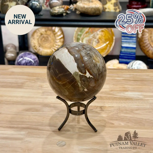 Reserve Madagascar Petrified Wood Sphere 4.87’’ - Sphere