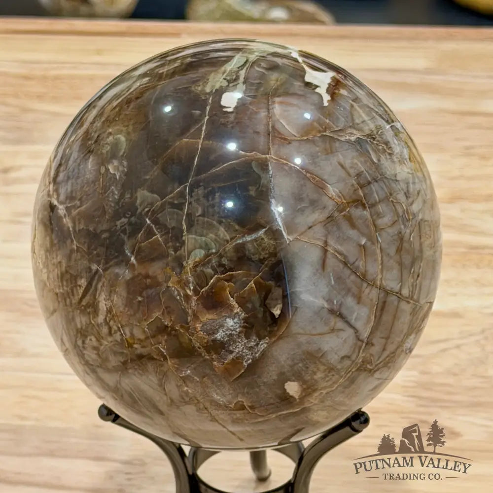 Reserve Madagascar Petrified Wood Sphere 4.87’’ - Sphere