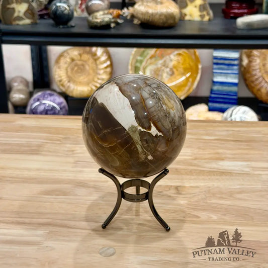 Reserve Madagascar Petrified Wood Sphere 4.87’’ - Sphere