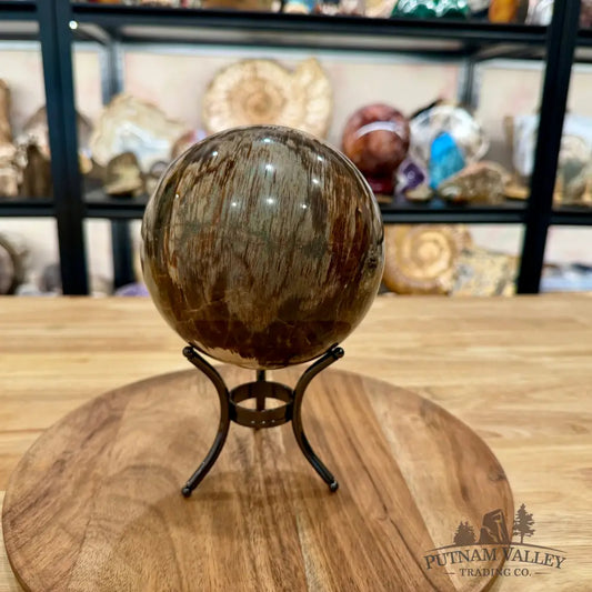 Reserve Madagascar Petrified Wood Sphere 4.99’’ - Sphere