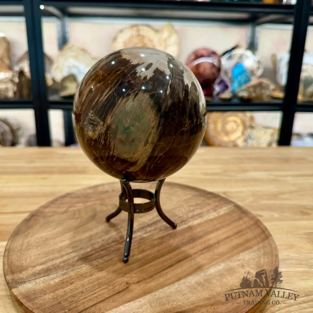 Reserve Madagascar Petrified Wood Sphere 4.99’’ - Sphere