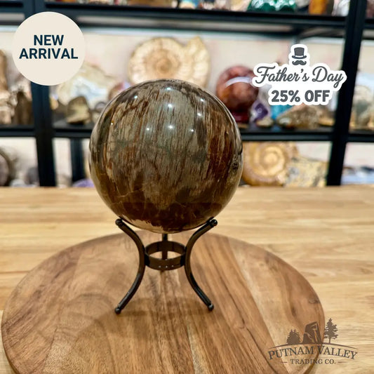 Reserve Madagascar Petrified Wood Sphere 4.99’’ - Sphere