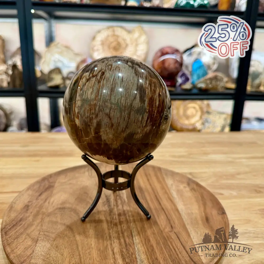 Reserve Madagascar Petrified Wood Sphere 4.99’’ - Sphere
