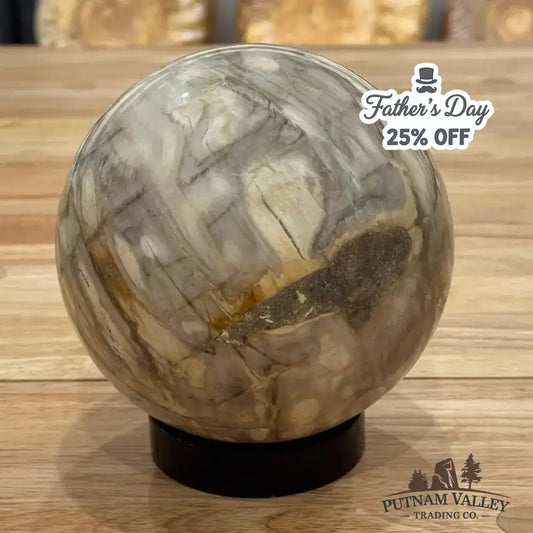 Reserve Petrified Wood Sphere 5.03" - Putnam Valley Trading Co.