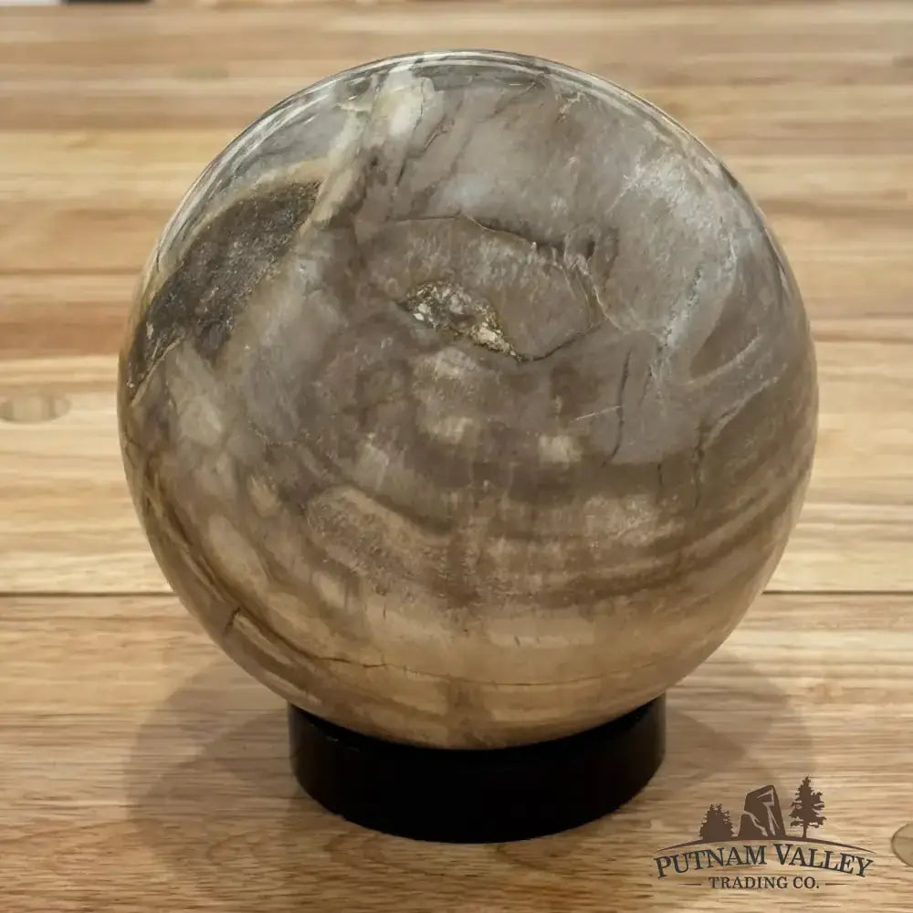 Reserve Petrified Wood Sphere 5.03" - Putnam Valley Trading Co.