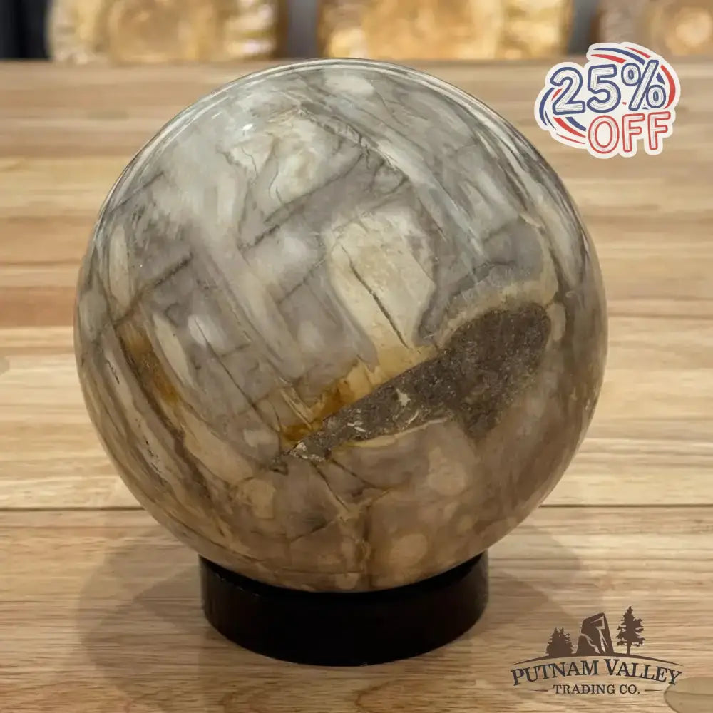 Reserve Petrified Wood Sphere 5.03" - Putnam Valley Trading Co.