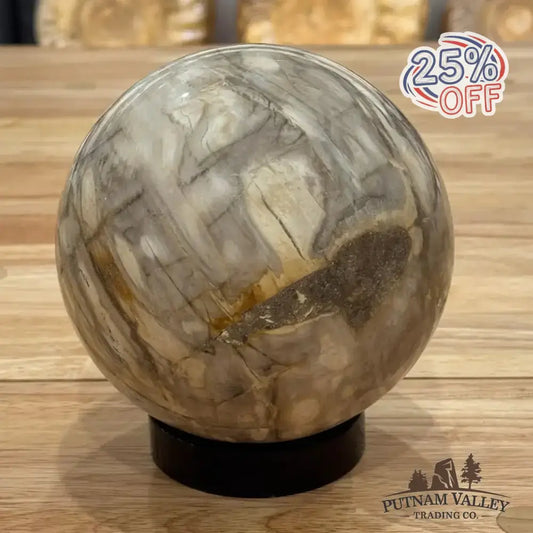 Reserve Petrified Wood Sphere 5.03" - Putnam Valley Trading Co.