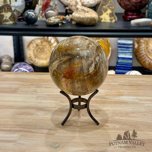 Reserve Madagascar Petrified Wood Sphere 5.04’’ - Sphere