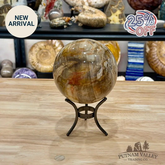 Reserve Madagascar Petrified Wood Sphere 5.04’’ - Sphere