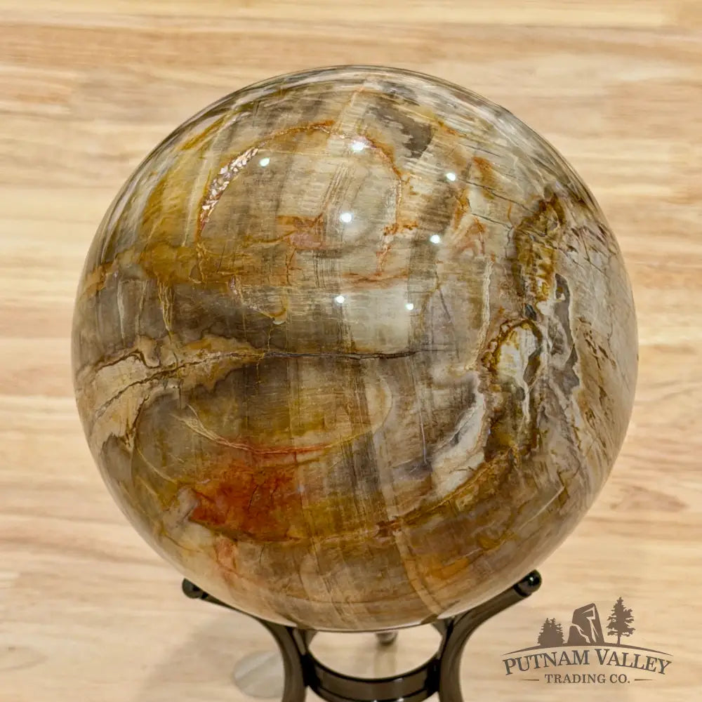 Reserve Madagascar Petrified Wood Sphere 5.04’’ - Sphere