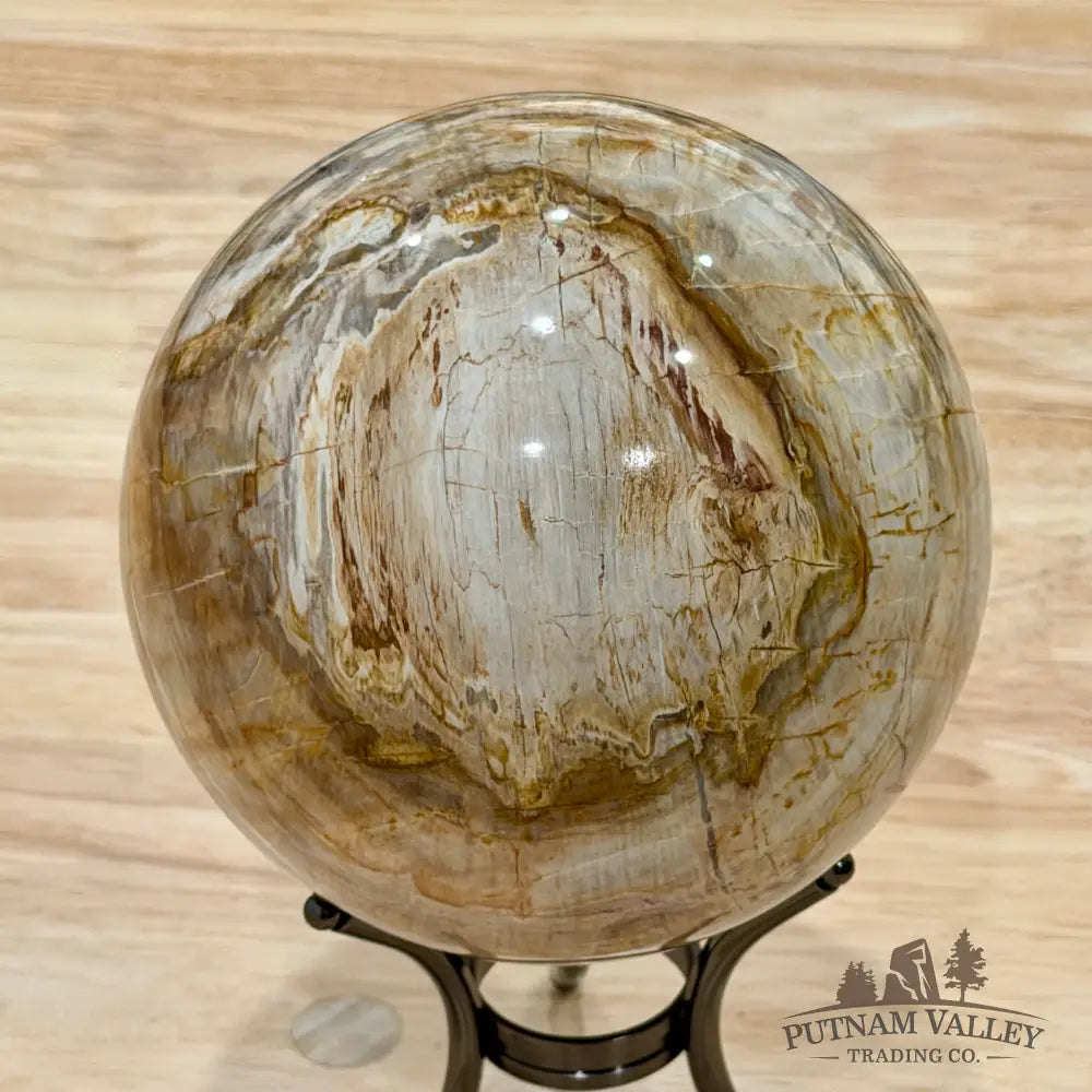 Reserve Madagascar Petrified Wood Sphere 5.04’’ - Sphere