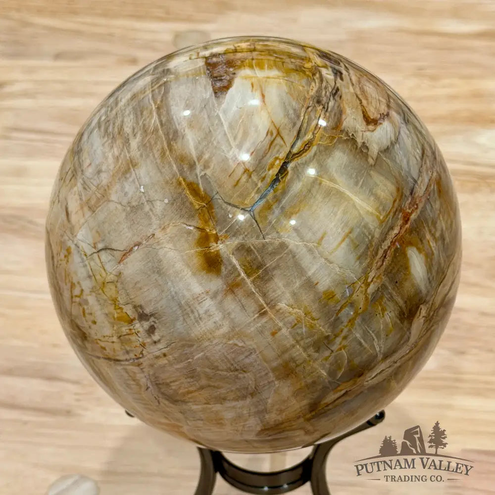 Reserve Madagascar Petrified Wood Sphere 5.04’’ - Sphere