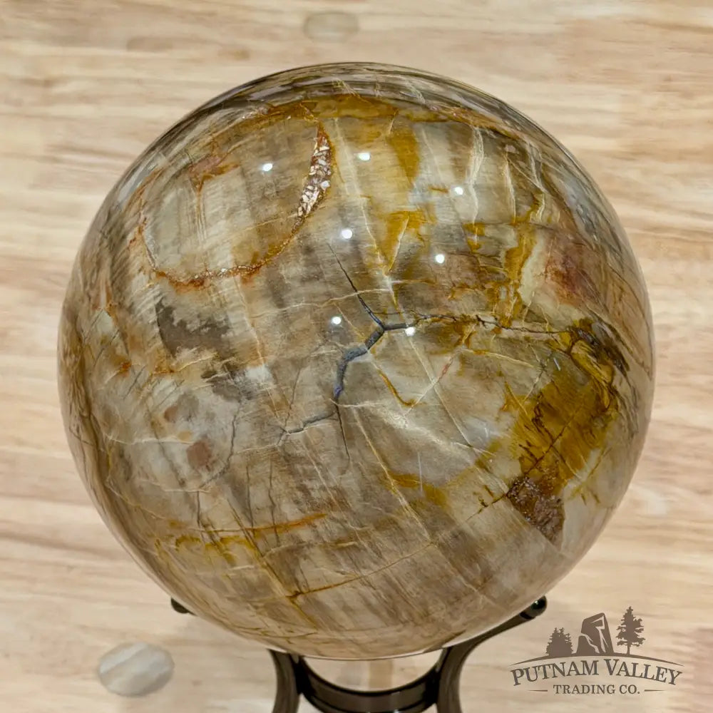 Reserve Madagascar Petrified Wood Sphere 5.04’’ - Sphere
