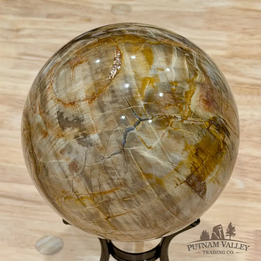 Reserve Madagascar Petrified Wood Sphere 5.04’’ - Sphere