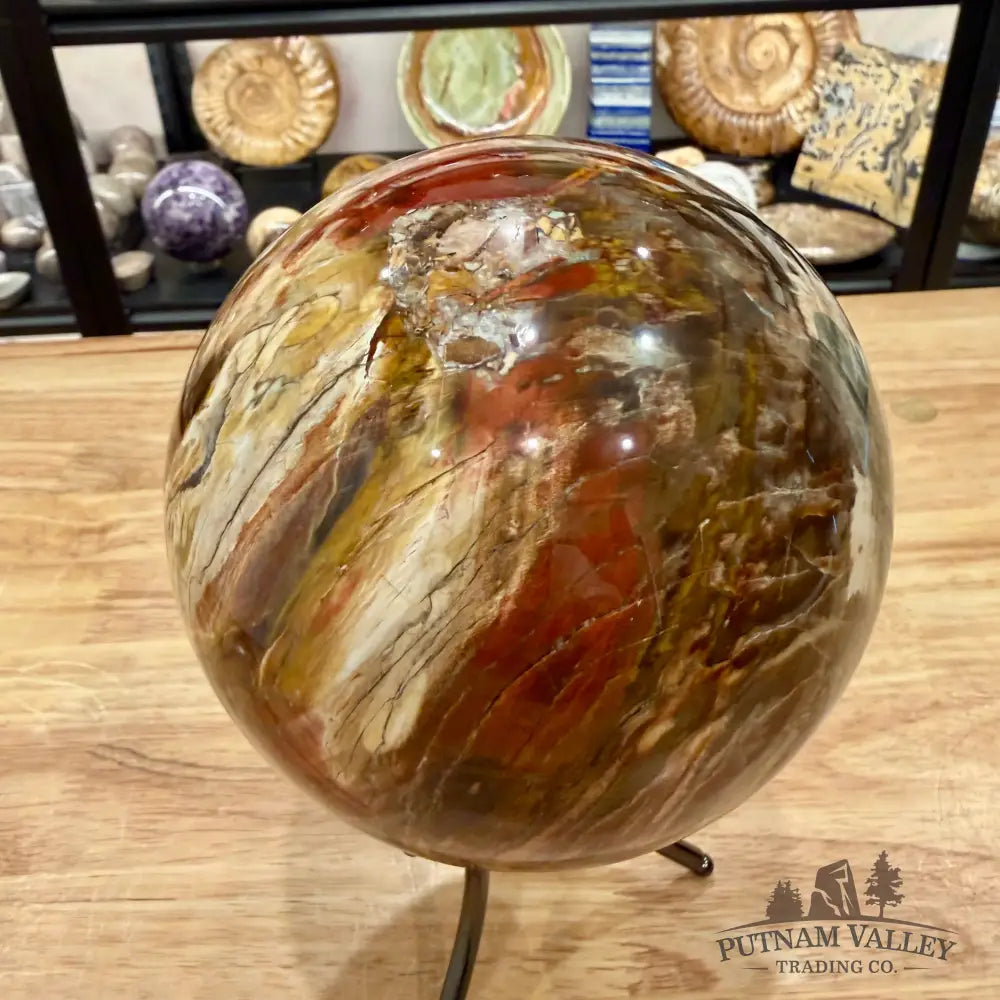 Reserve Madagascar Petrified Wood Sphere 5.18’’ - Sphere