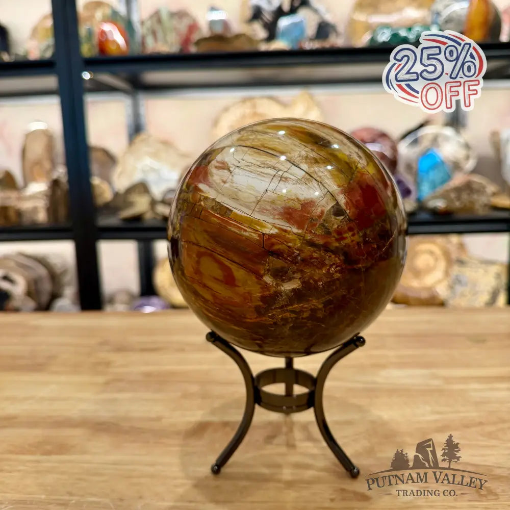 Reserve Madagascar Petrified Wood Sphere 5.18’’ - Sphere