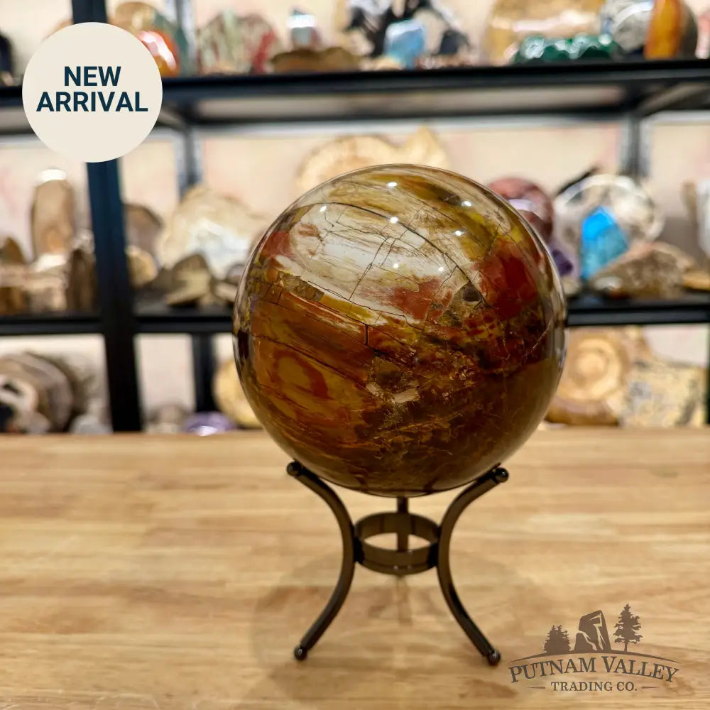 Reserve Madagascar Petrified Wood Sphere 5.18’’ - Sphere