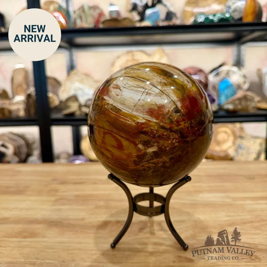 Reserve Madagascar Petrified Wood Sphere 5.18’’ - Sphere