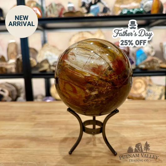 Reserve Madagascar Petrified Wood Sphere 5.18’’ - Sphere