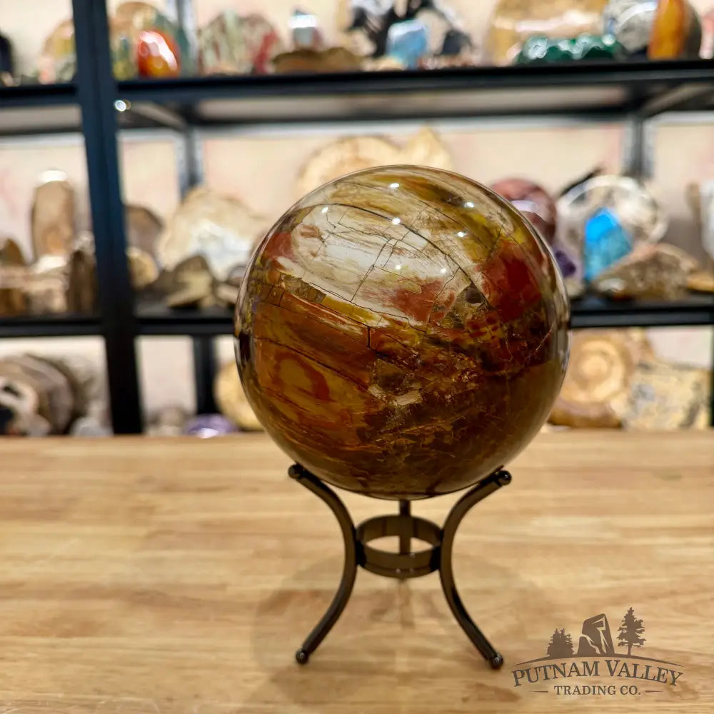 Reserve Madagascar Petrified Wood Sphere 5.18’’ - Sphere