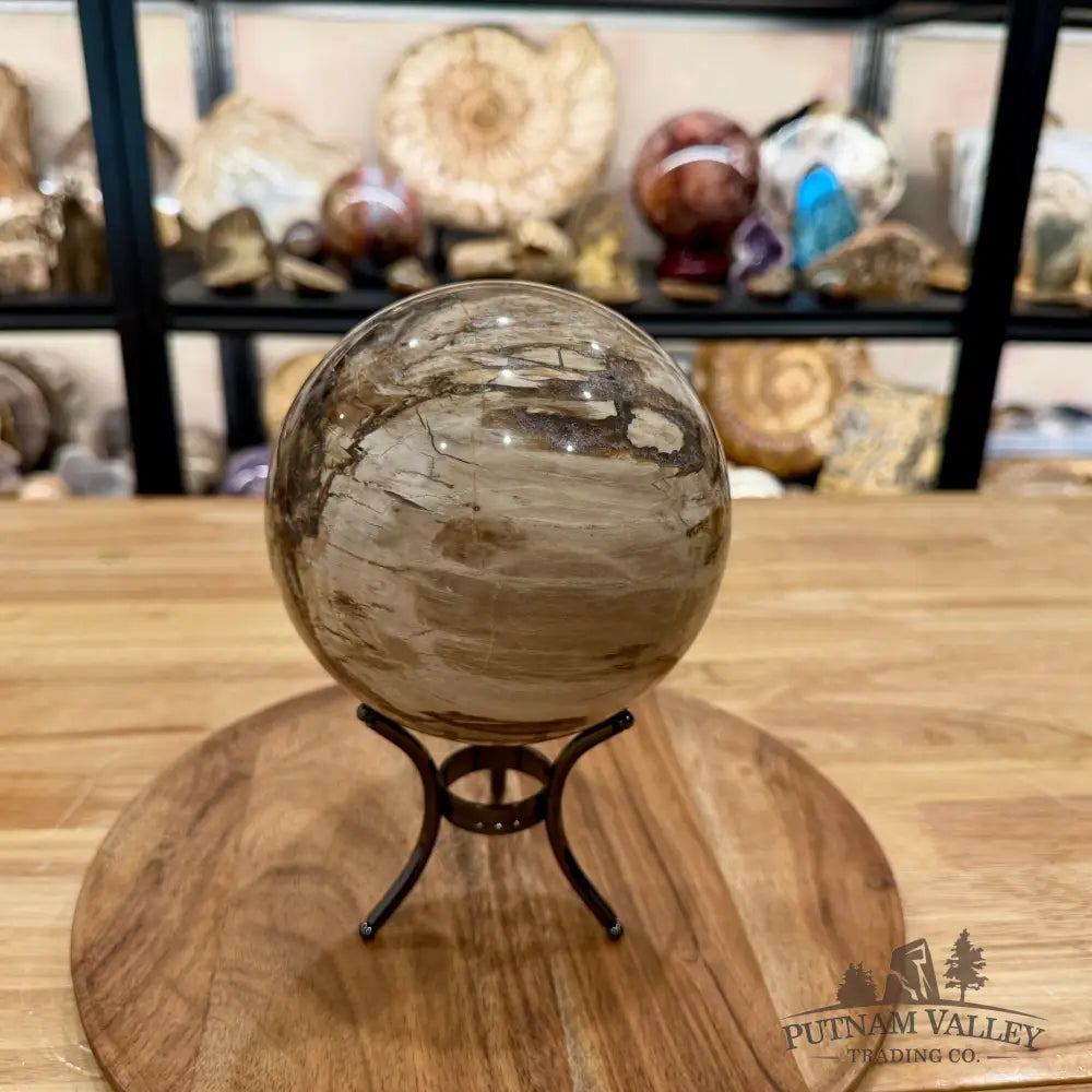 Reserve Madagascar Petrified Wood Sphere 5.37’’ - Sphere