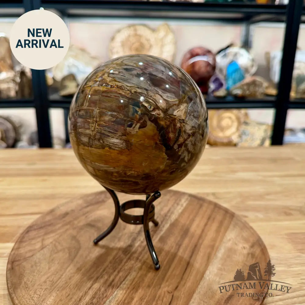 Reserve Madagascar Petrified Wood Sphere 5.37’’ - Sphere