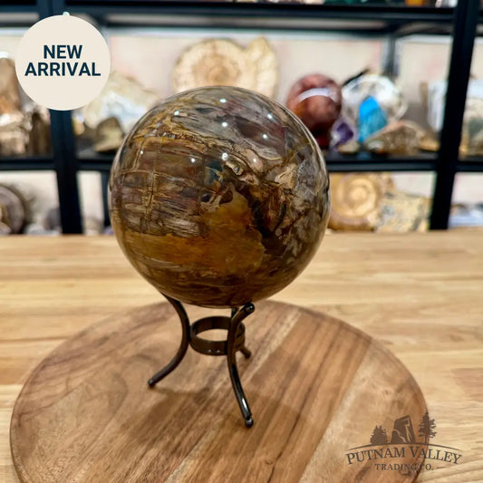 Reserve Madagascar Petrified Wood Sphere 5.37’’ - Sphere