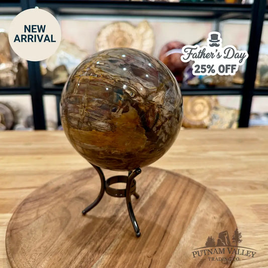 Reserve Madagascar Petrified Wood Sphere 5.37’’ - Sphere