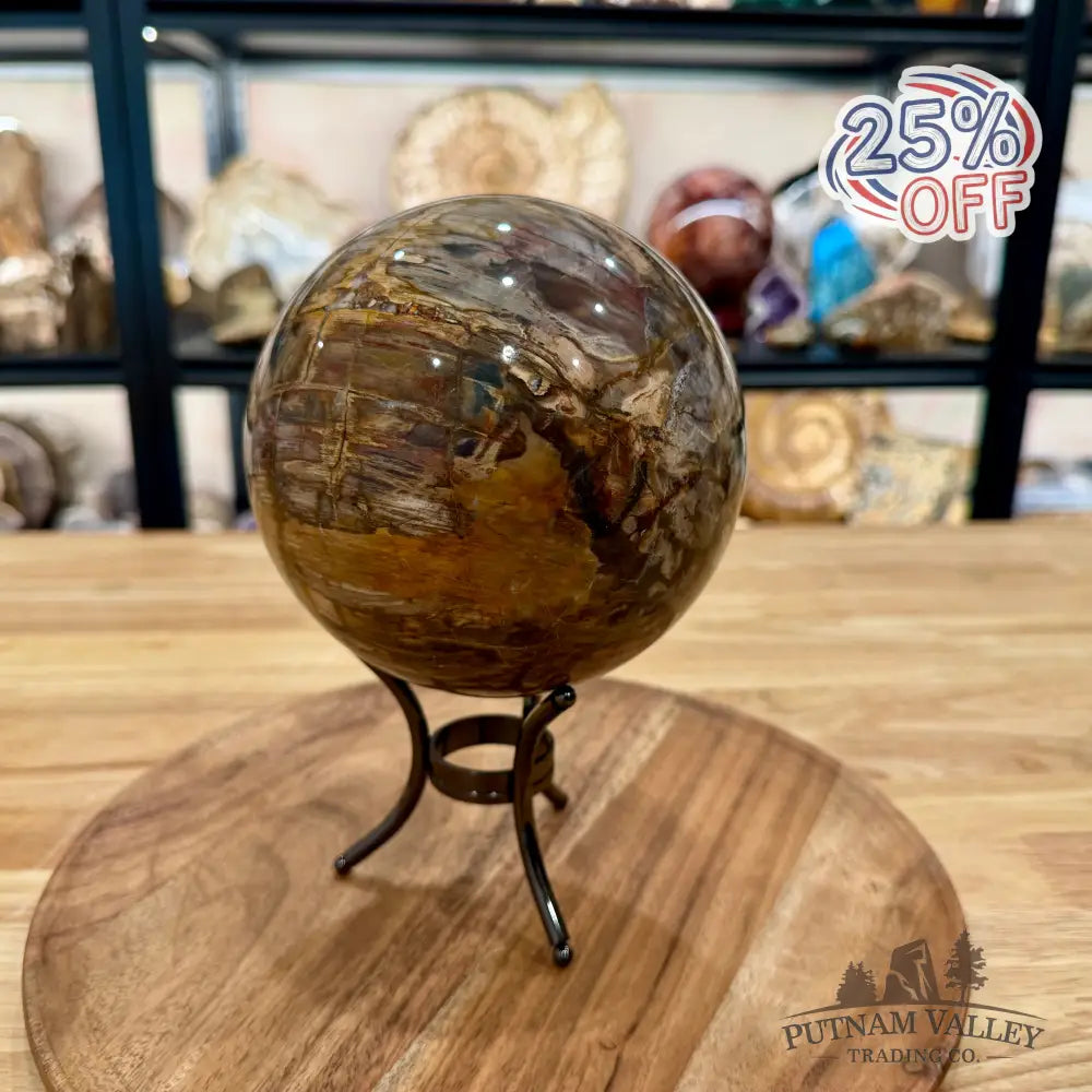 Reserve Madagascar Petrified Wood Sphere 5.37’’ - Sphere