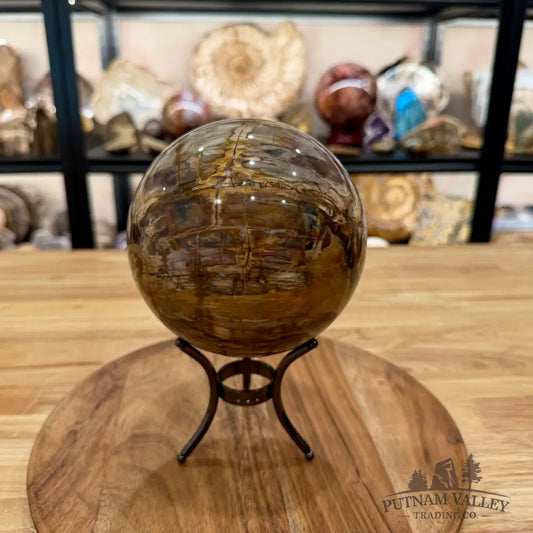 Reserve Madagascar Petrified Wood Sphere 5.37’’ - Sphere