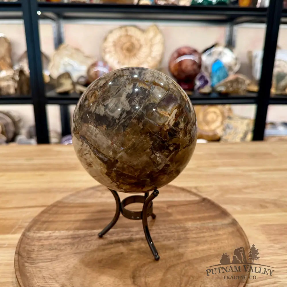 Reserve Madagascar Petrified Wood Sphere 5.37’’ - Sphere