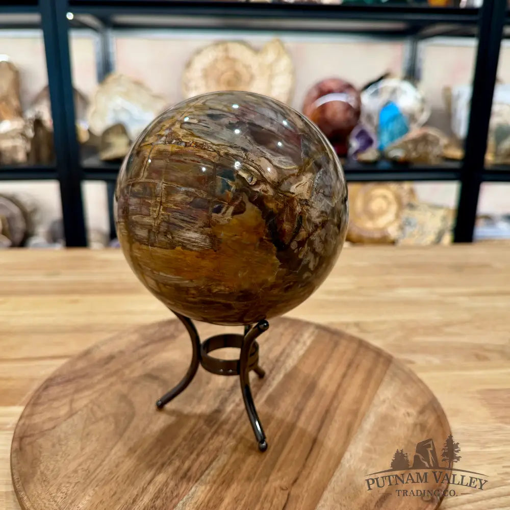Reserve Madagascar Petrified Wood Sphere 5.37’’ - Sphere