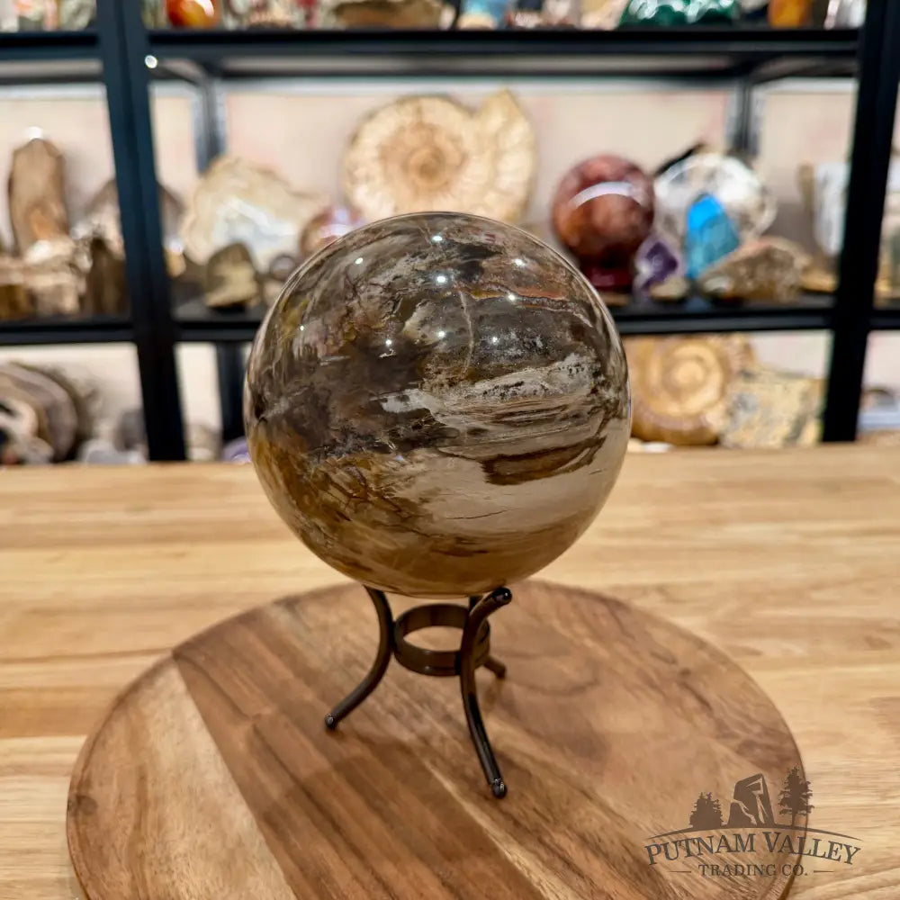 Reserve Madagascar Petrified Wood Sphere 5.37’’ - Sphere