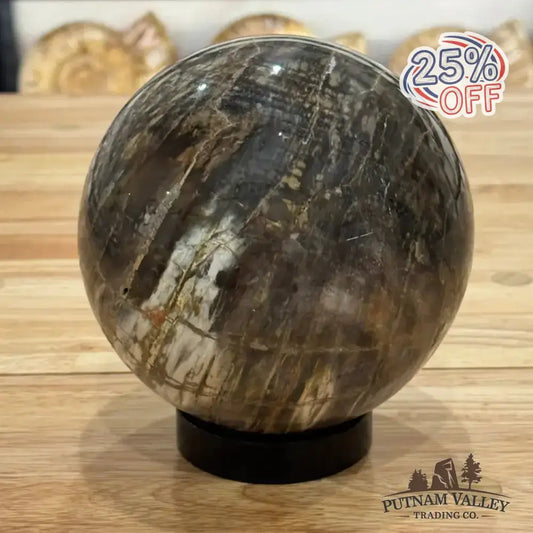 Reserve Petrified Wood Sphere 5.53" - Putnam Valley Trading Co.