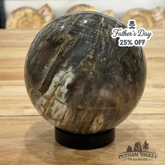 Reserve Petrified Wood Sphere 5.53" - Putnam Valley Trading Co.