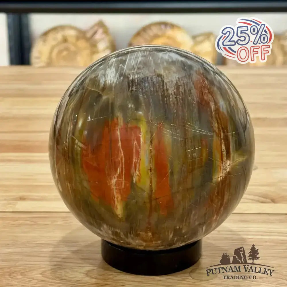 Reserve Petrified Wood Sphere 5.58" - Putnam Valley Trading Co.
