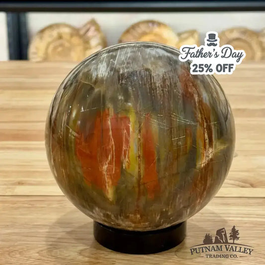 Reserve Petrified Wood Sphere 5.58" - Putnam Valley Trading Co.