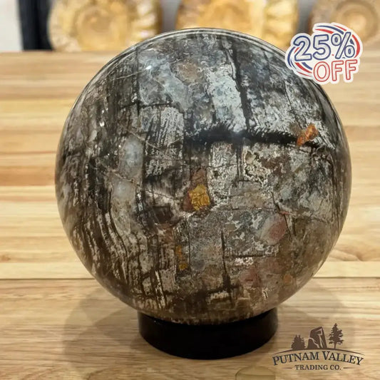 Reserve Petrified Wood Sphere 5.73" - Putnam Valley Trading Co.
