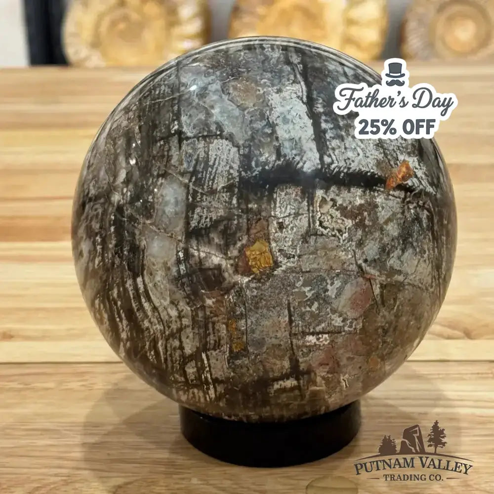 Reserve Petrified Wood Sphere 5.73" - Putnam Valley Trading Co.