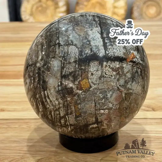 Reserve Petrified Wood Sphere 5.73" - Putnam Valley Trading Co.