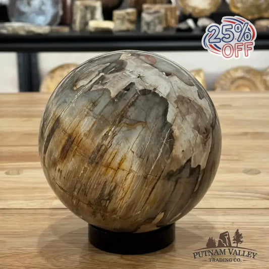 Reserve Petrified Wood Sphere 5.8" - Putnam Valley Trading Co.