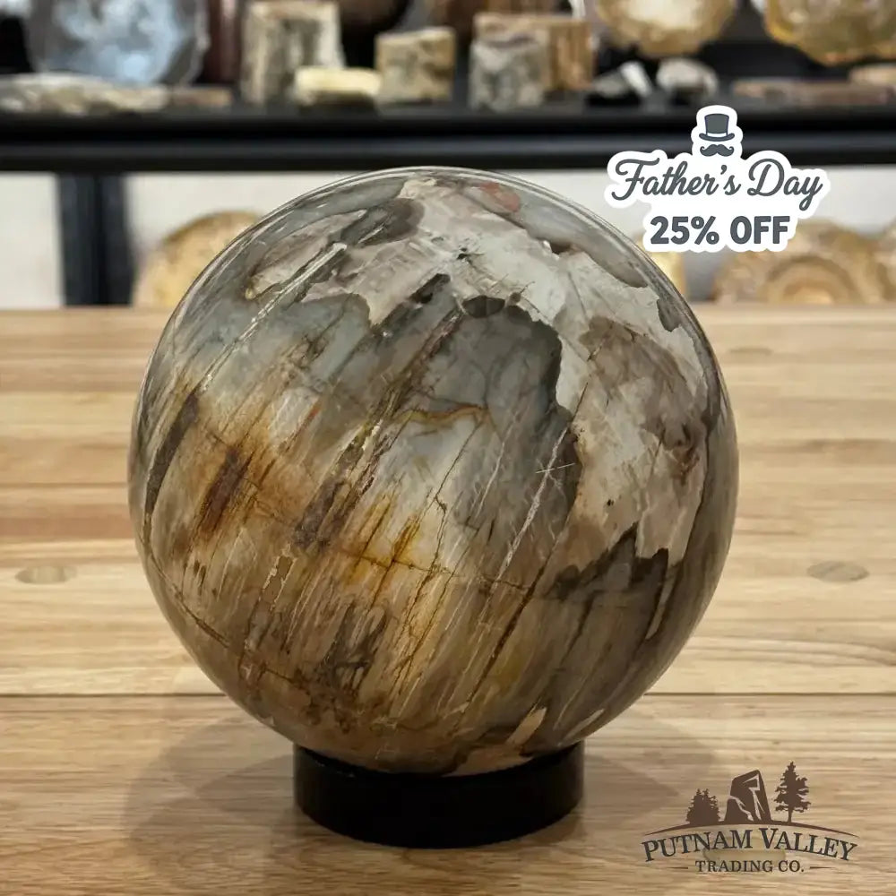 Reserve Petrified Wood Sphere 5.8" - Putnam Valley Trading Co.