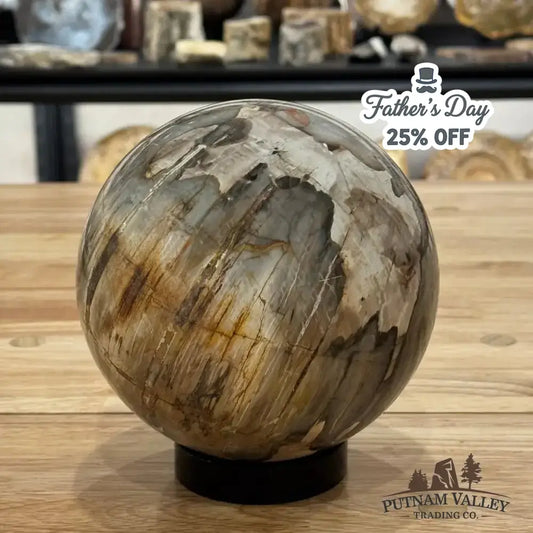 Reserve Petrified Wood Sphere 5.8" - Putnam Valley Trading Co.